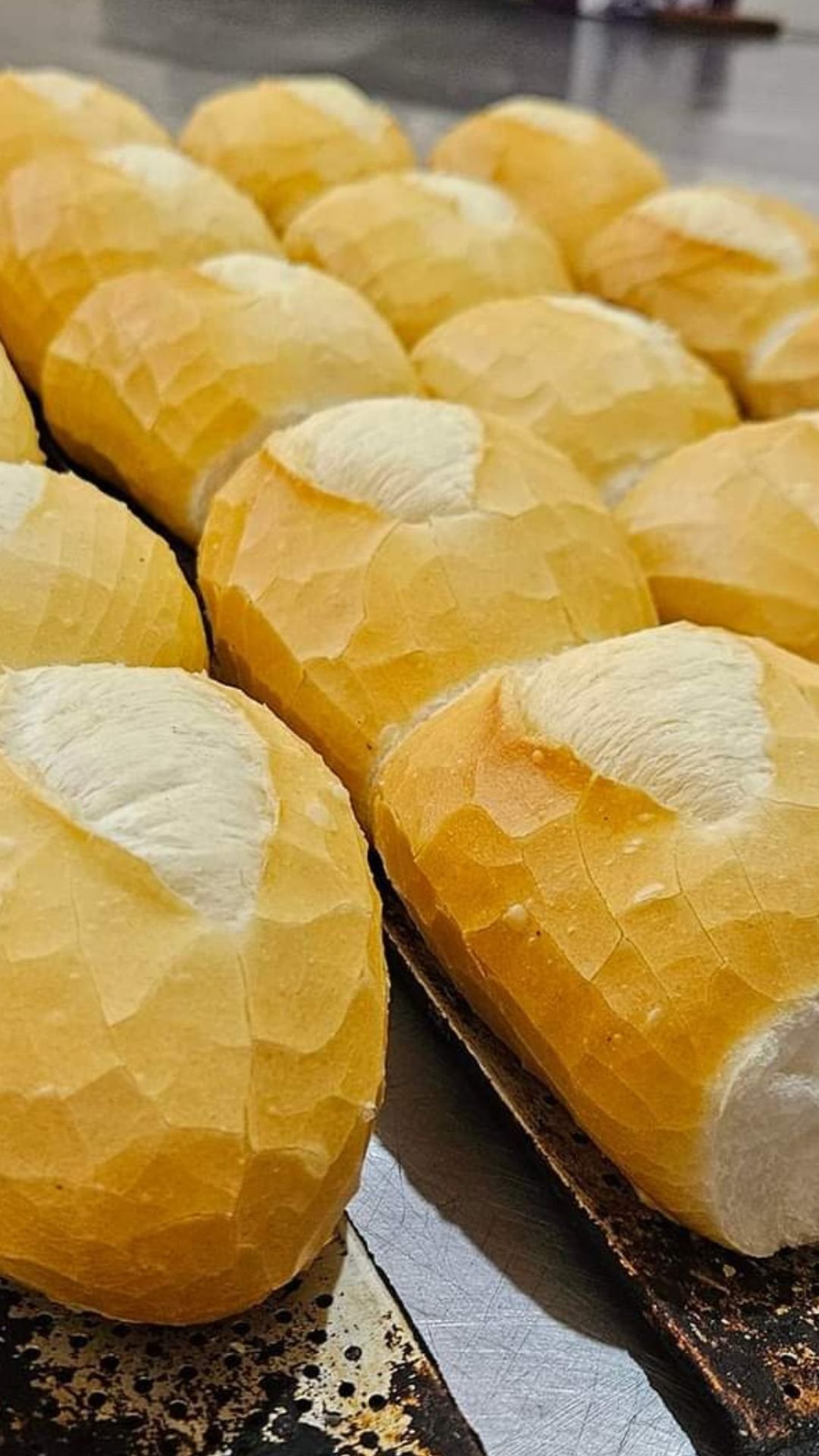 Pão francês